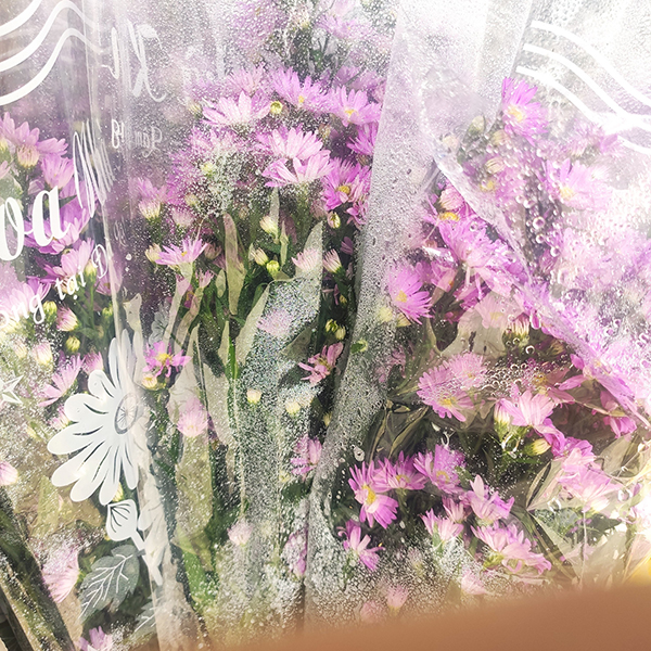 Hoa thạch thảo tím